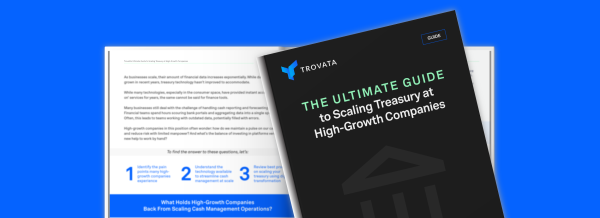the ultimate guide to scaling treasury at high-growth companies